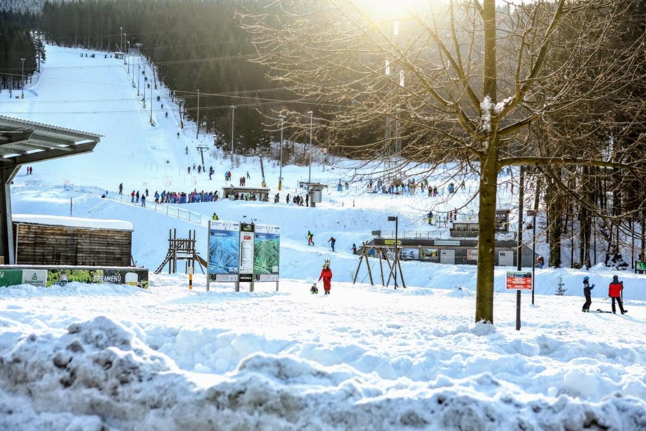 Chata U Vleku Kouty nad Desnou Loučná nad Desnou Exteriér fotografie